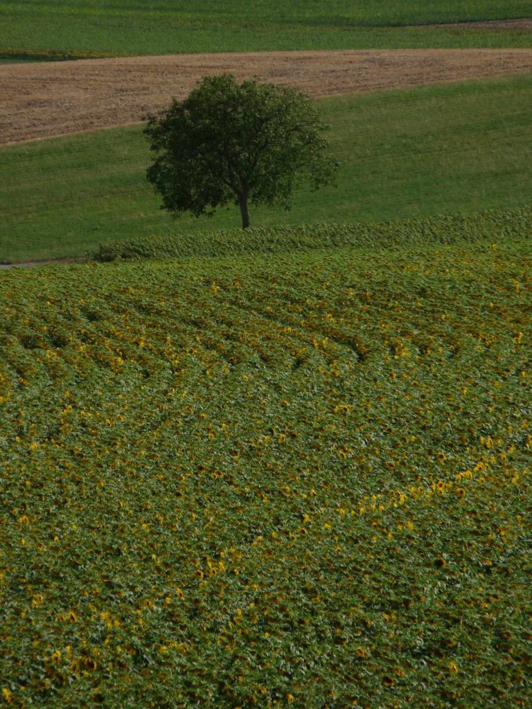 Visiter l'Auvergne