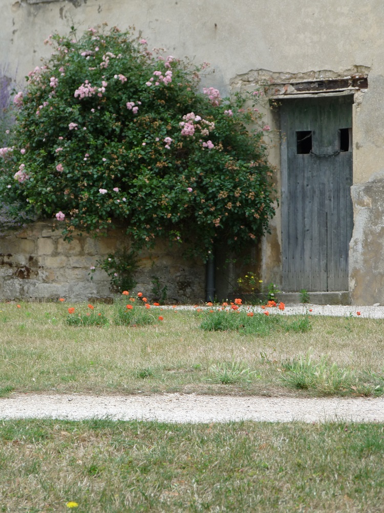 Auvers-sur-Oise