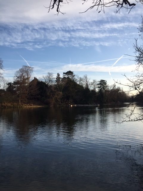 Visiter Bois de Boulogne