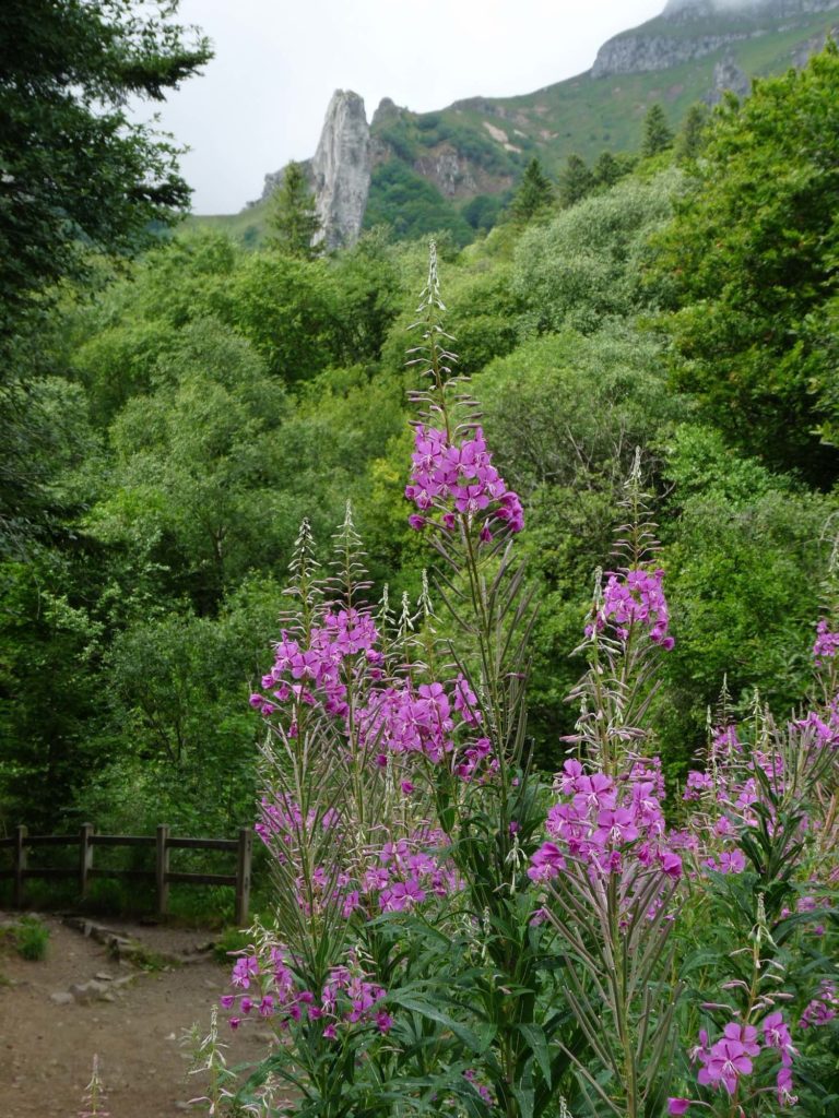 Vallée de Chaudefour