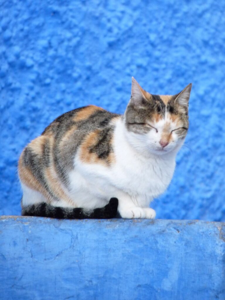 Médina Chefchaouen