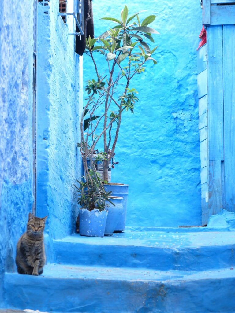 Médina Chefchaouen