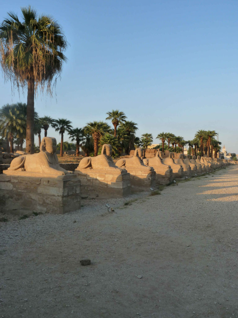 Temple d'Amon Louxor