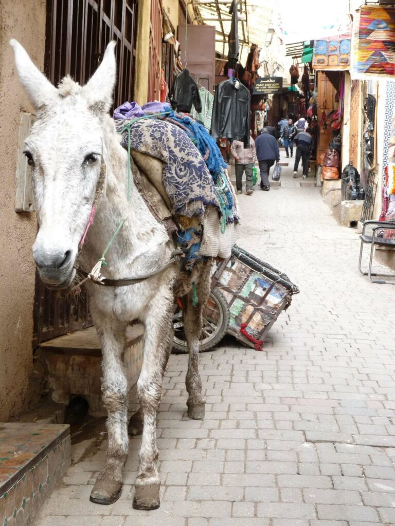 road trip maroc 2 semaines