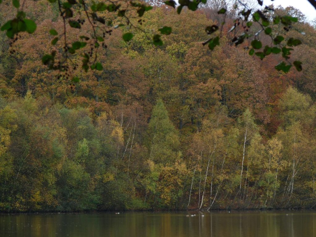 Forges-les-Eaux