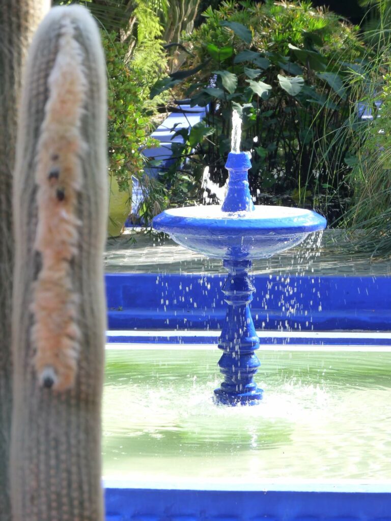 jardin Majorelle