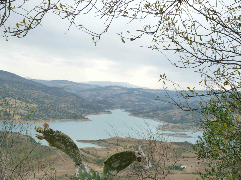 Sierra de Grazalema