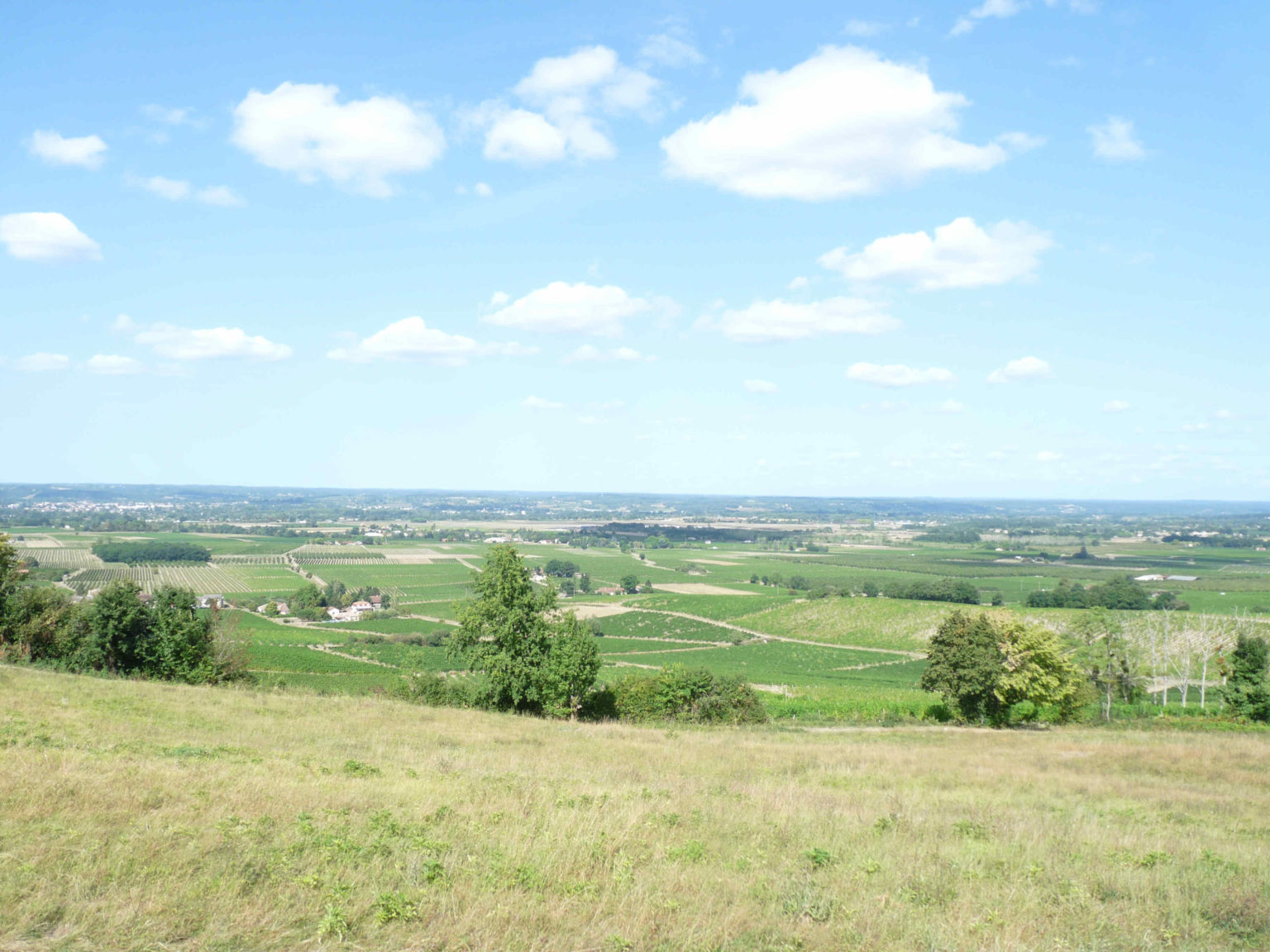 Que faire à Bergerac ? Partir