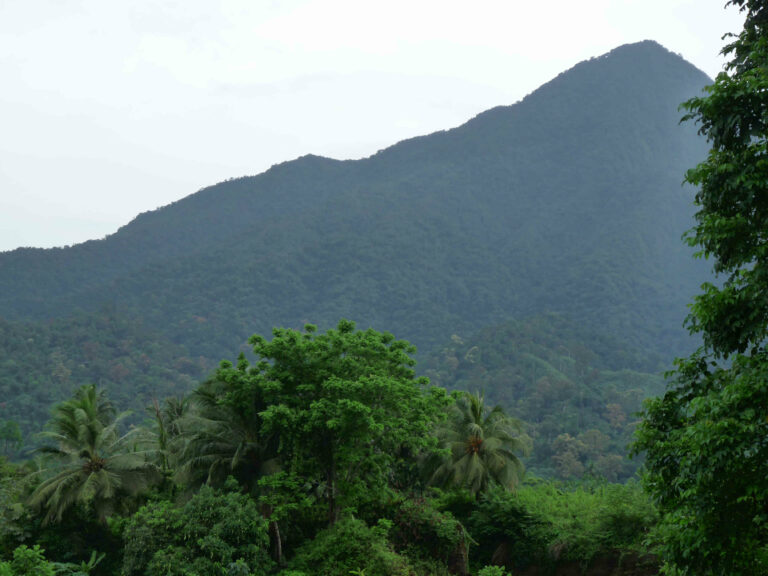 Visiter Limbé au Cameroun Partir voir le monde