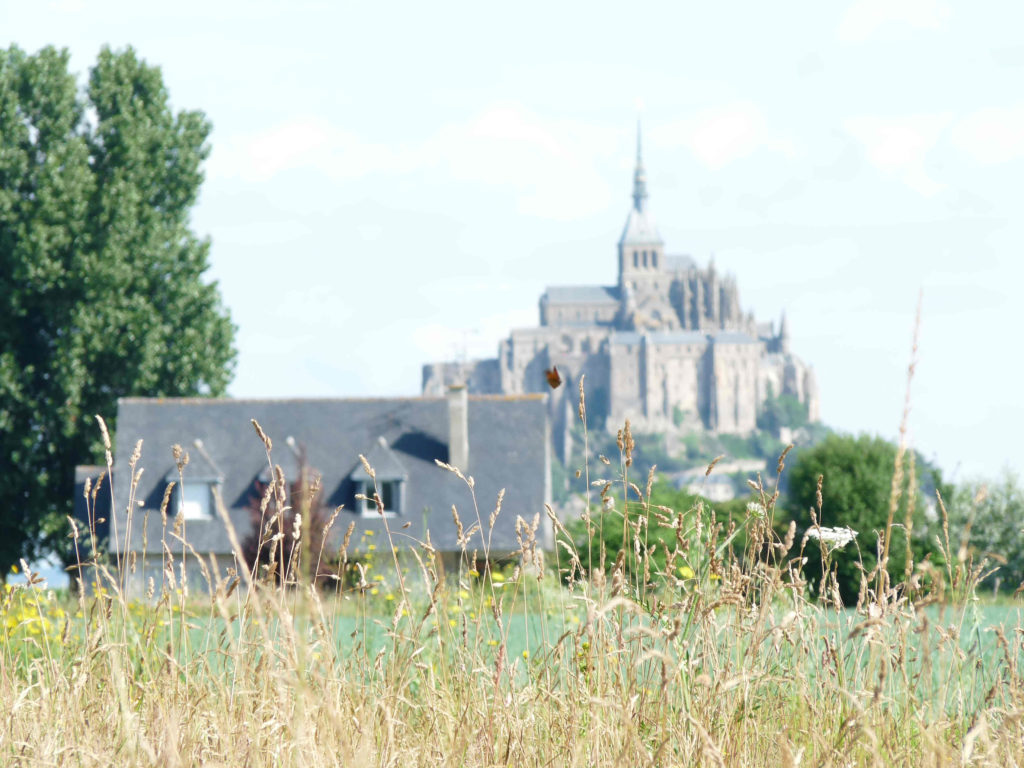 Vue Mont Saint Michel depuis les champs