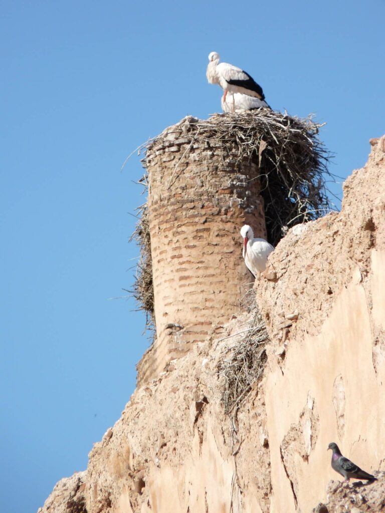 palais El Badi