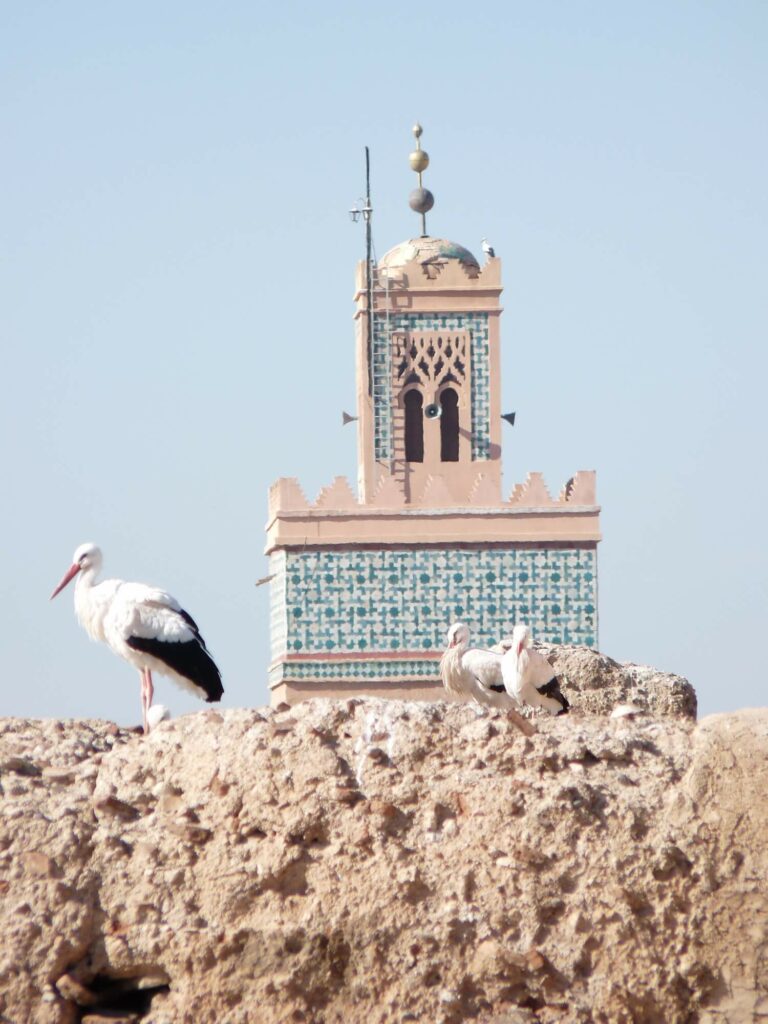 palais El Badi