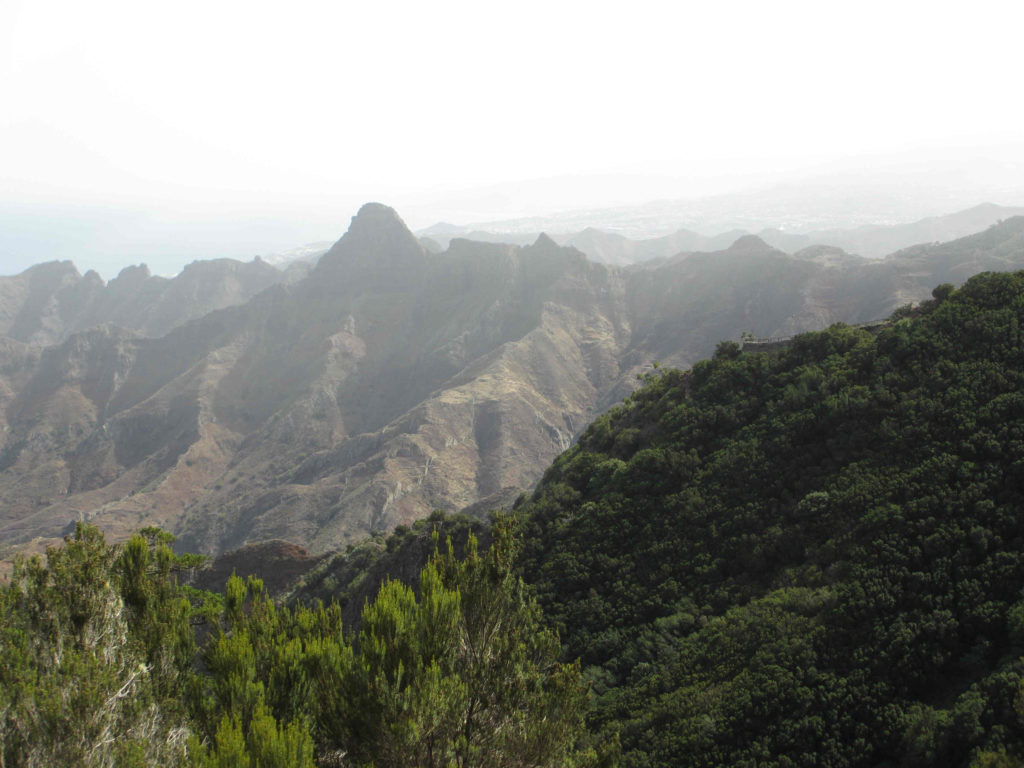 Parc naturel d'ataga Tenerife