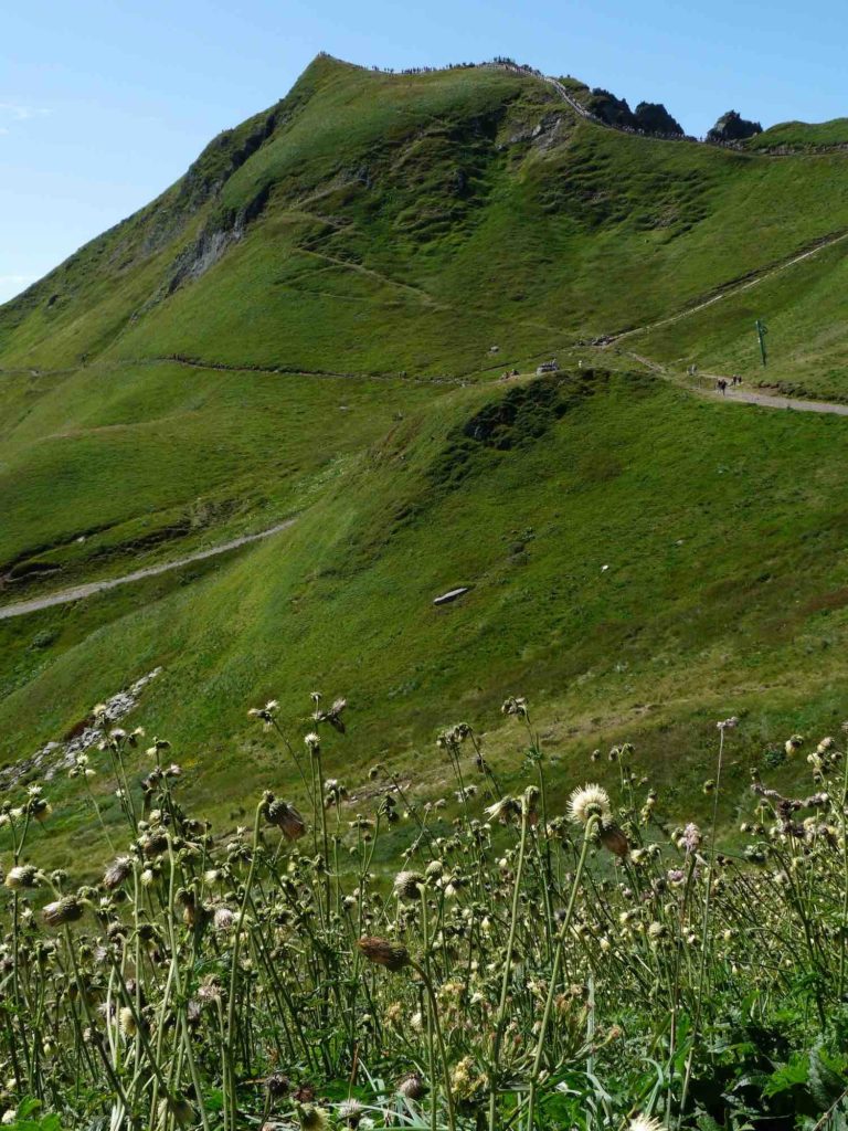 Volcan d'Auvergne