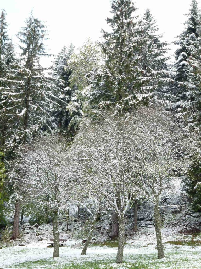 Route des crêtes en Forêt Noire