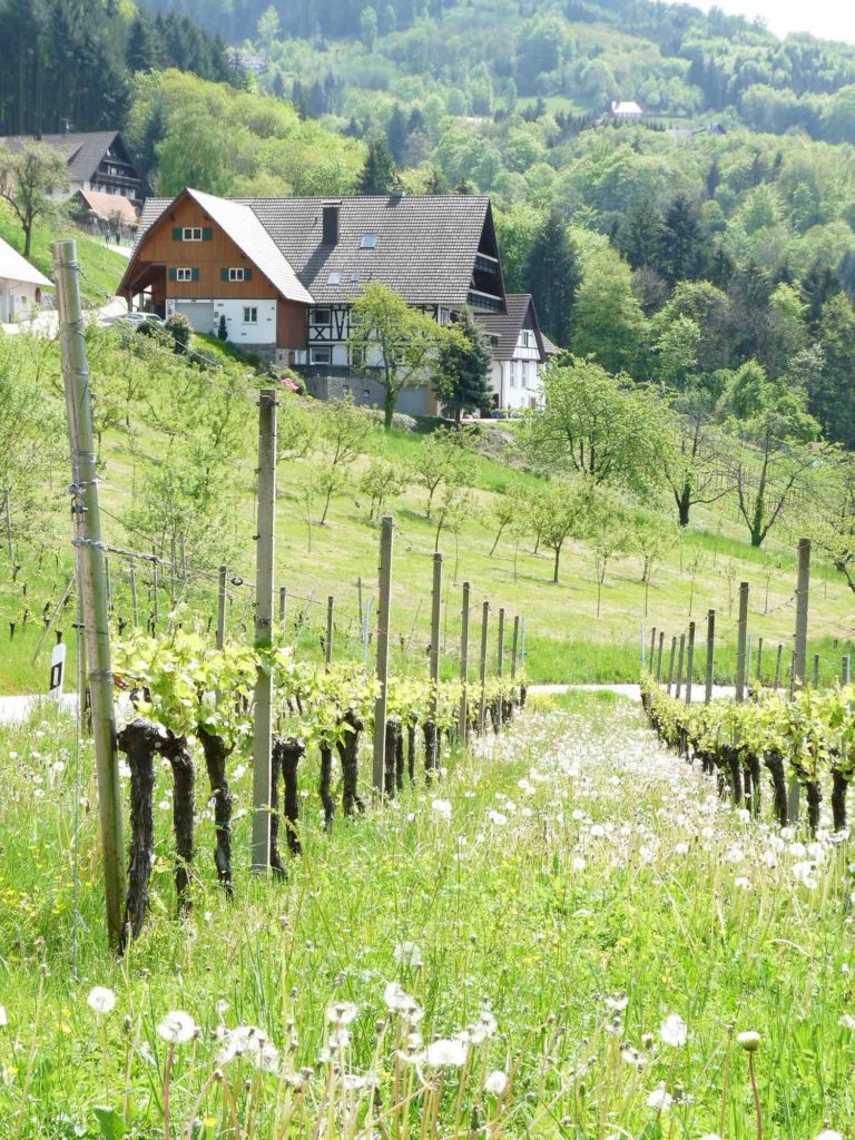 cascades de Sasbachwalden