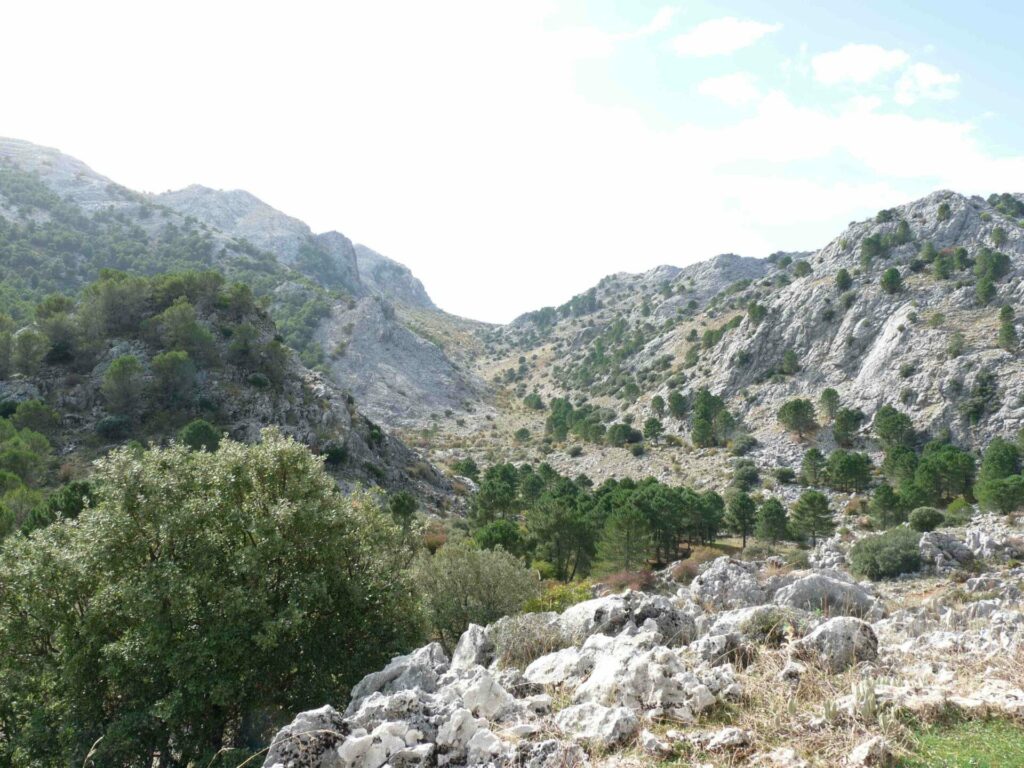 Sierra de Grazalema