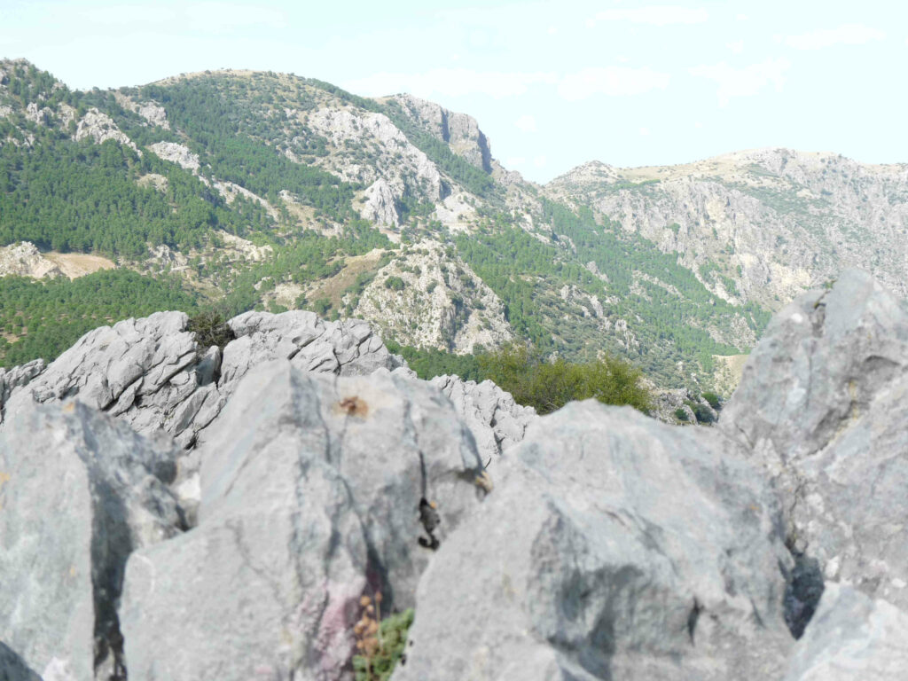 Sierra de Grazalema