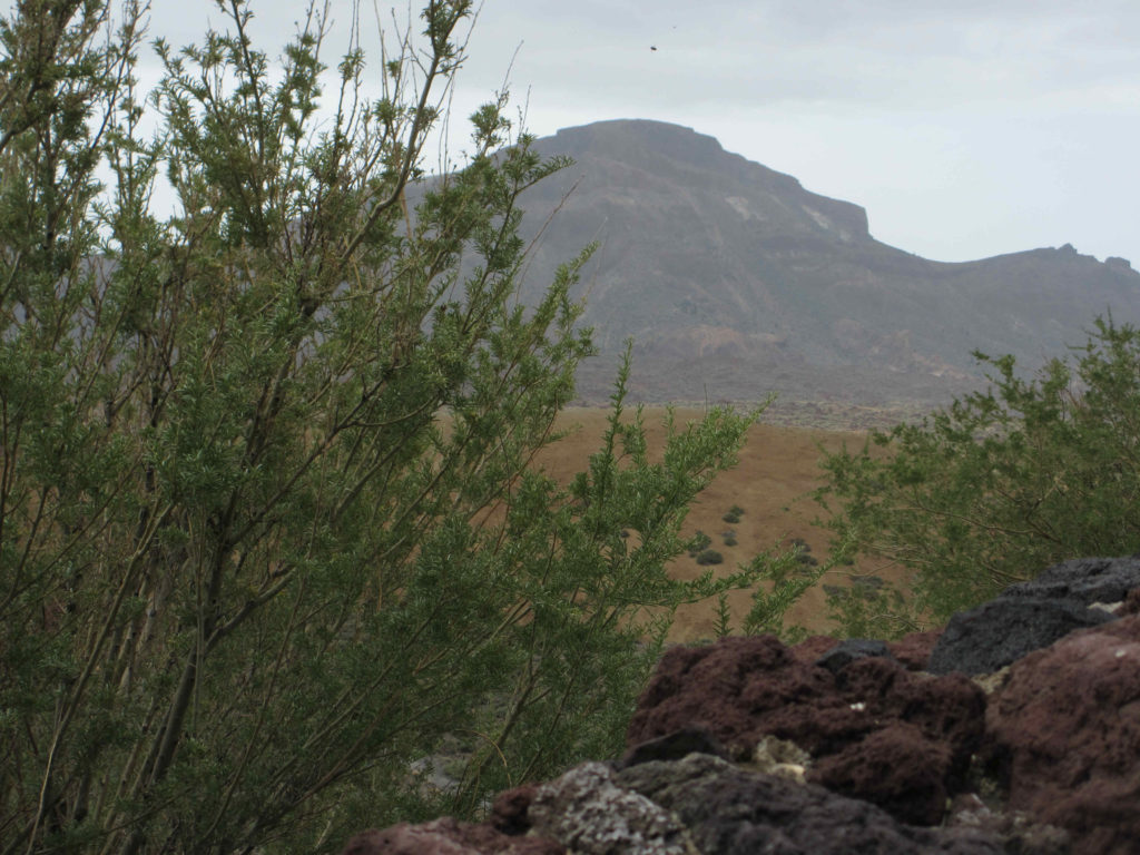 El Teide Tenerife