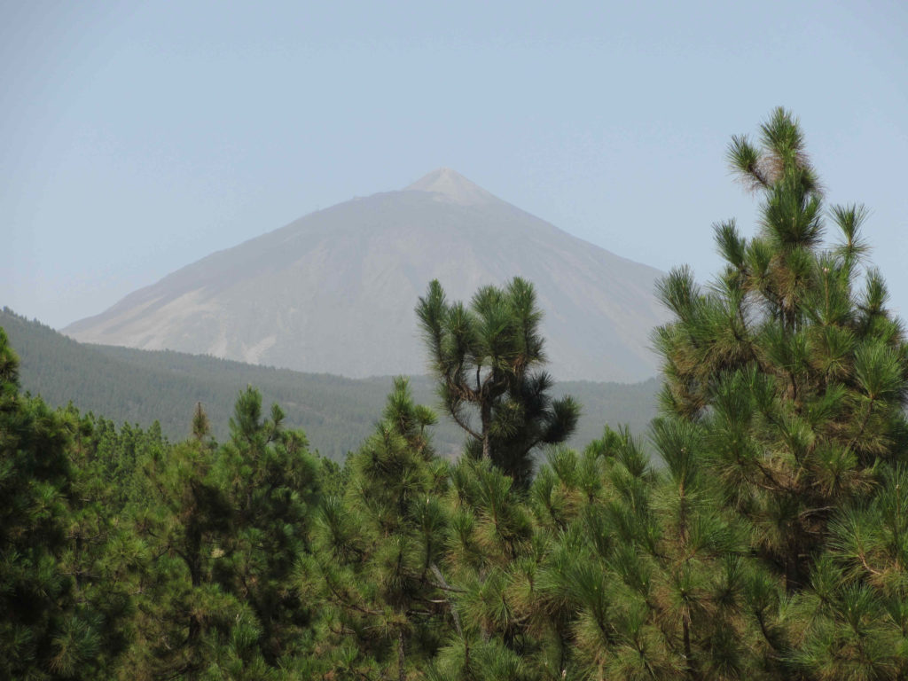 El Teide Tenerife