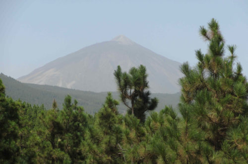 Tenerife El Teide