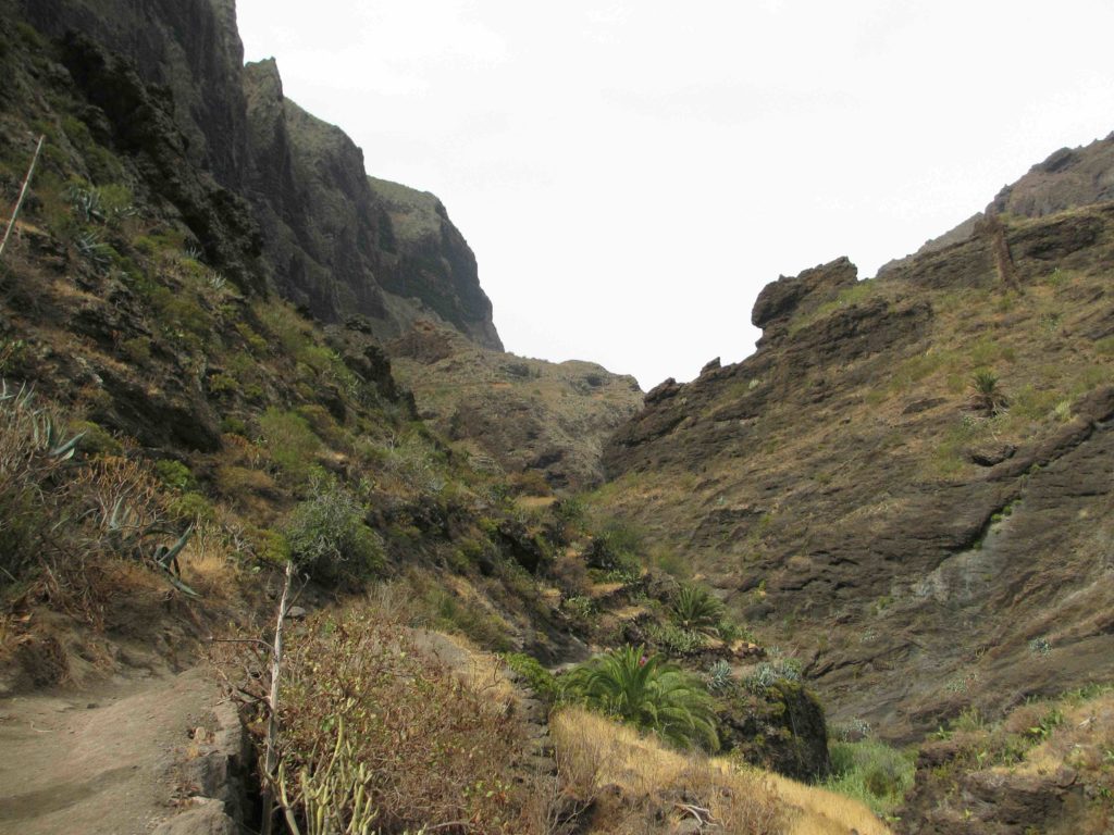 Barranco de Masca Tenerife