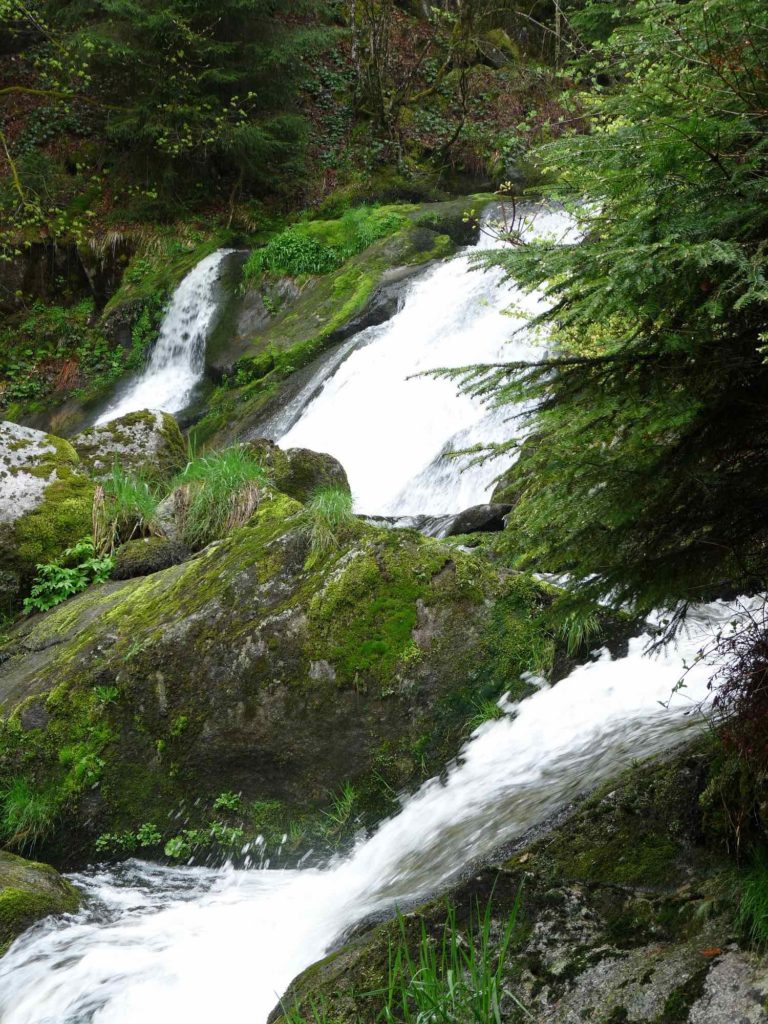 cascades de Triberg