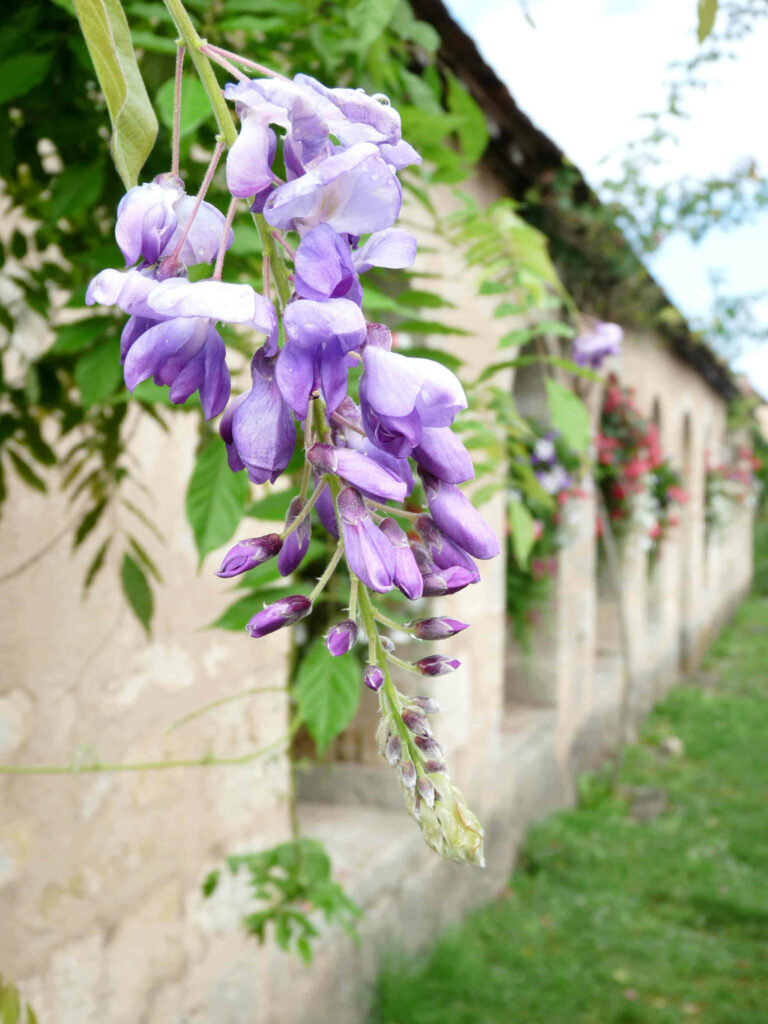 Noyers-sur-Serein