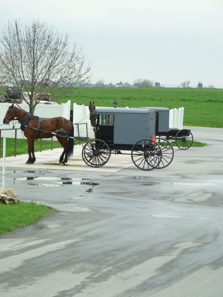 Buggy amish