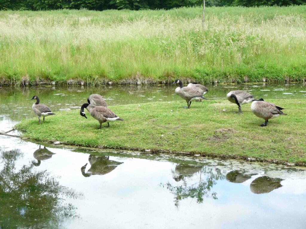 Week-end dans l'Oise