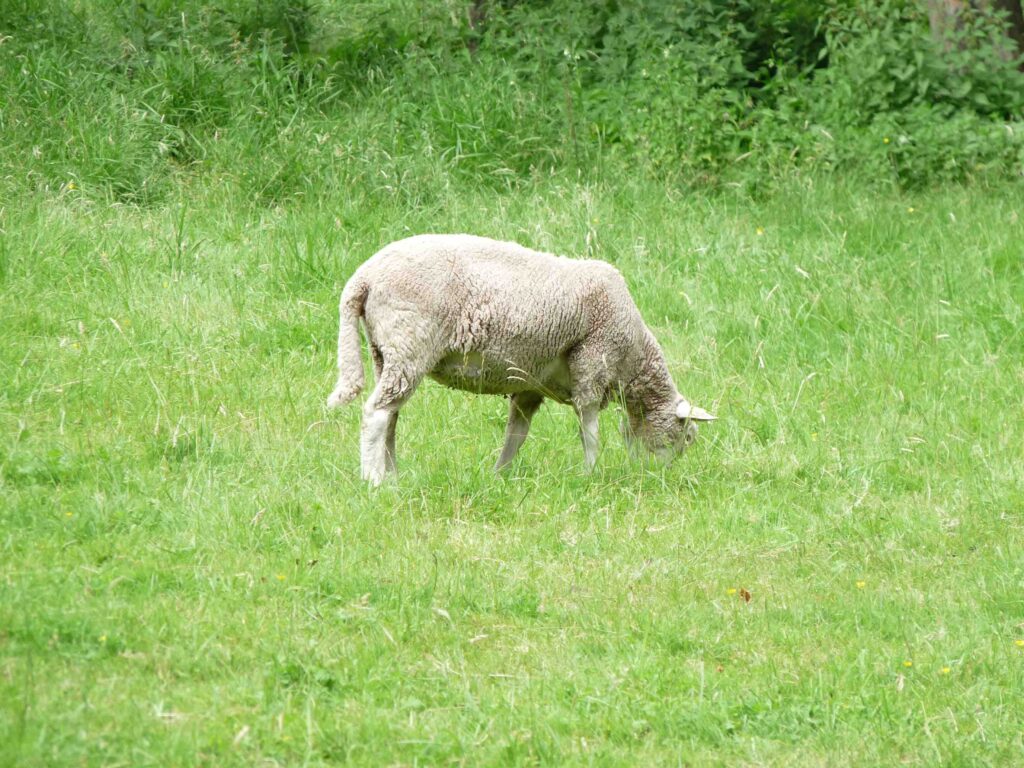 Week-end dans l'Oise