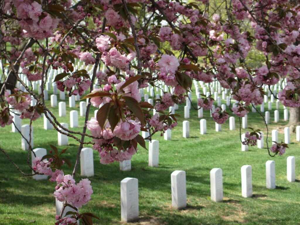 Cimetière d'Arlington Washington