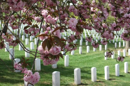 Cimetière d'Arlington Washington