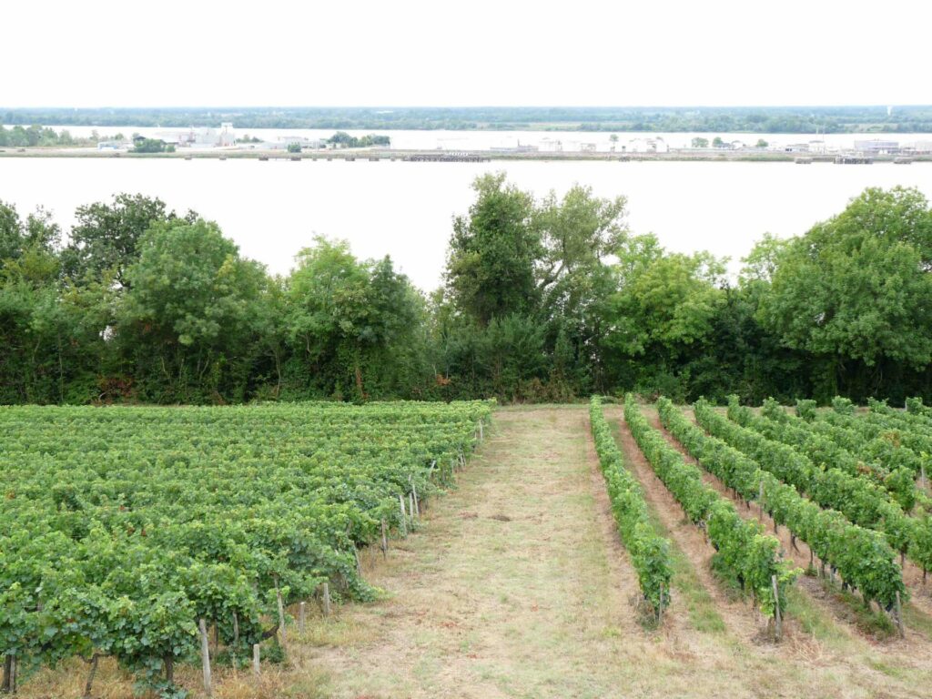 route des châteaux du Médoc