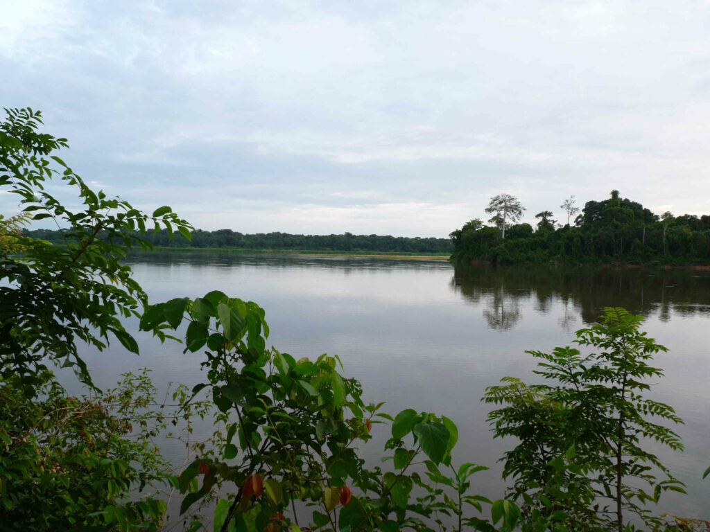 Ile aux singes d'Edéa