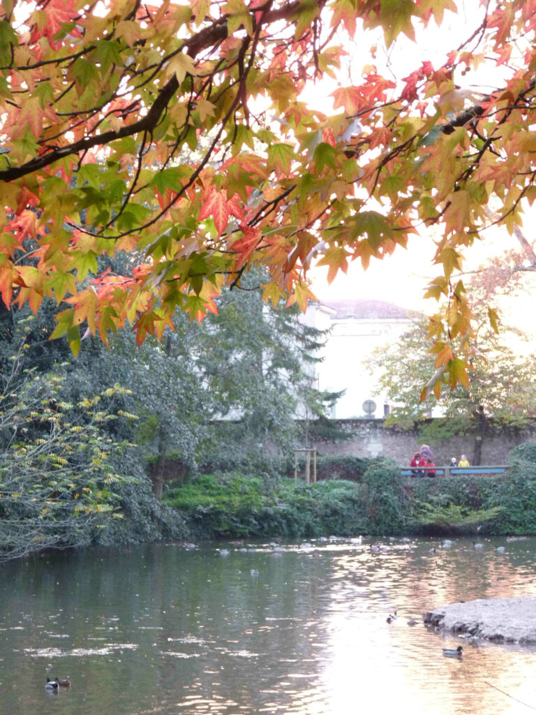 Jardin botanique Tours