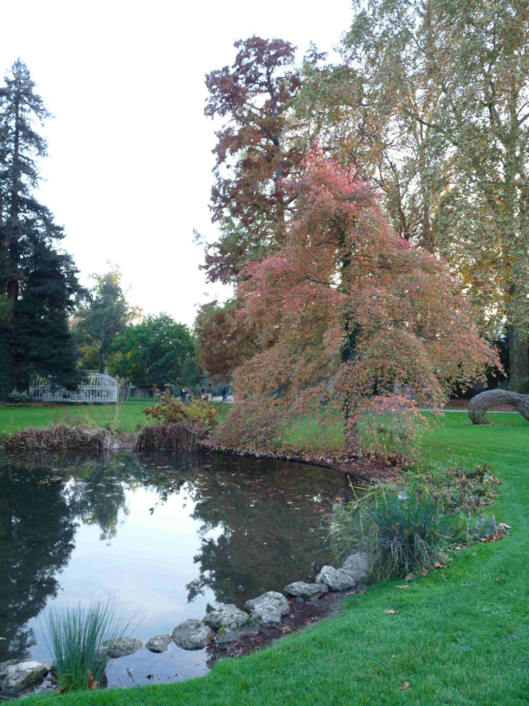 Jardin botanique Tours