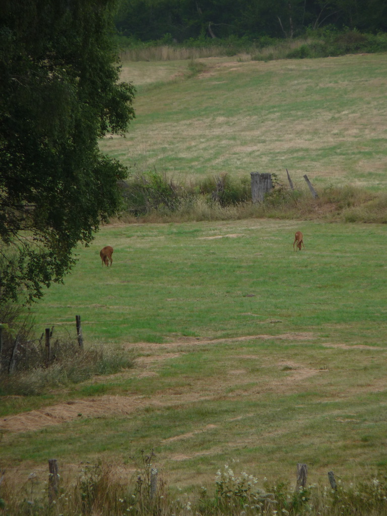 Randonnées au Morvan