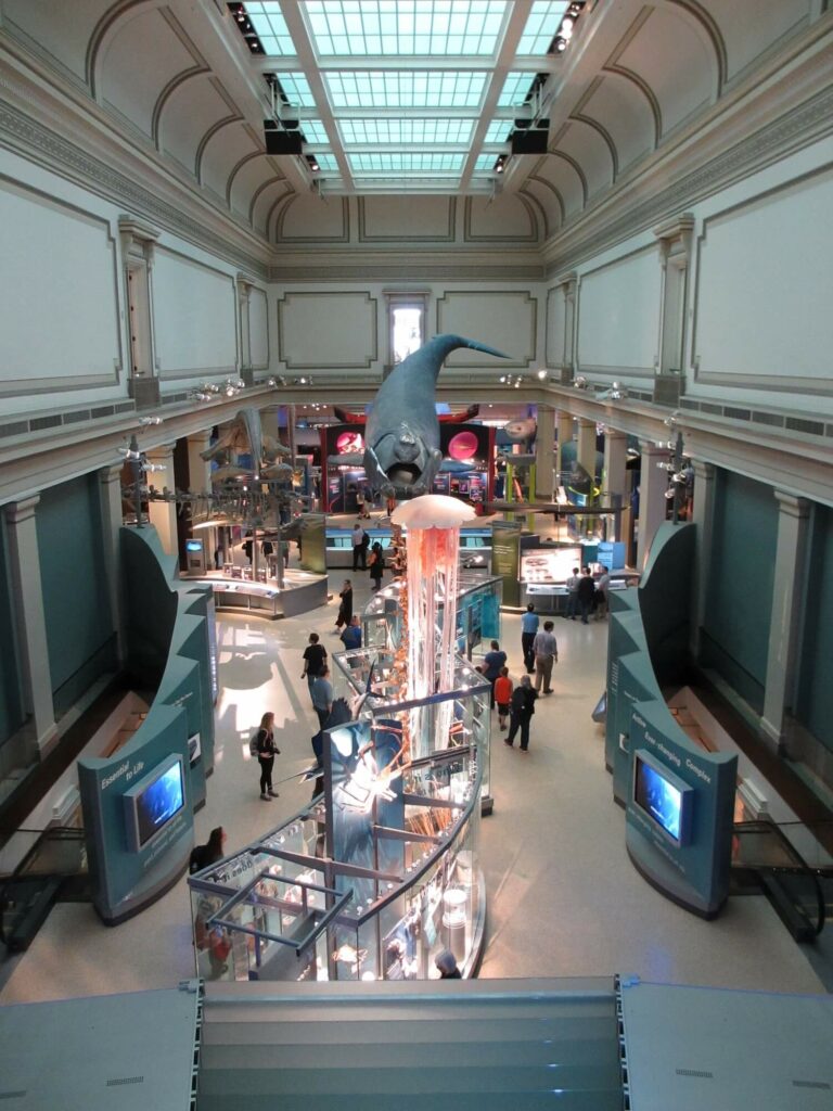 Musée histoire naturelle Washington