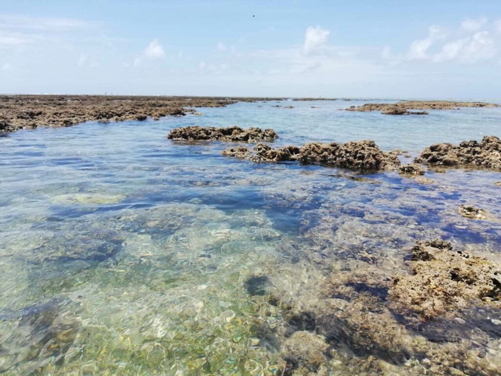 Petite-Terre Mayotte