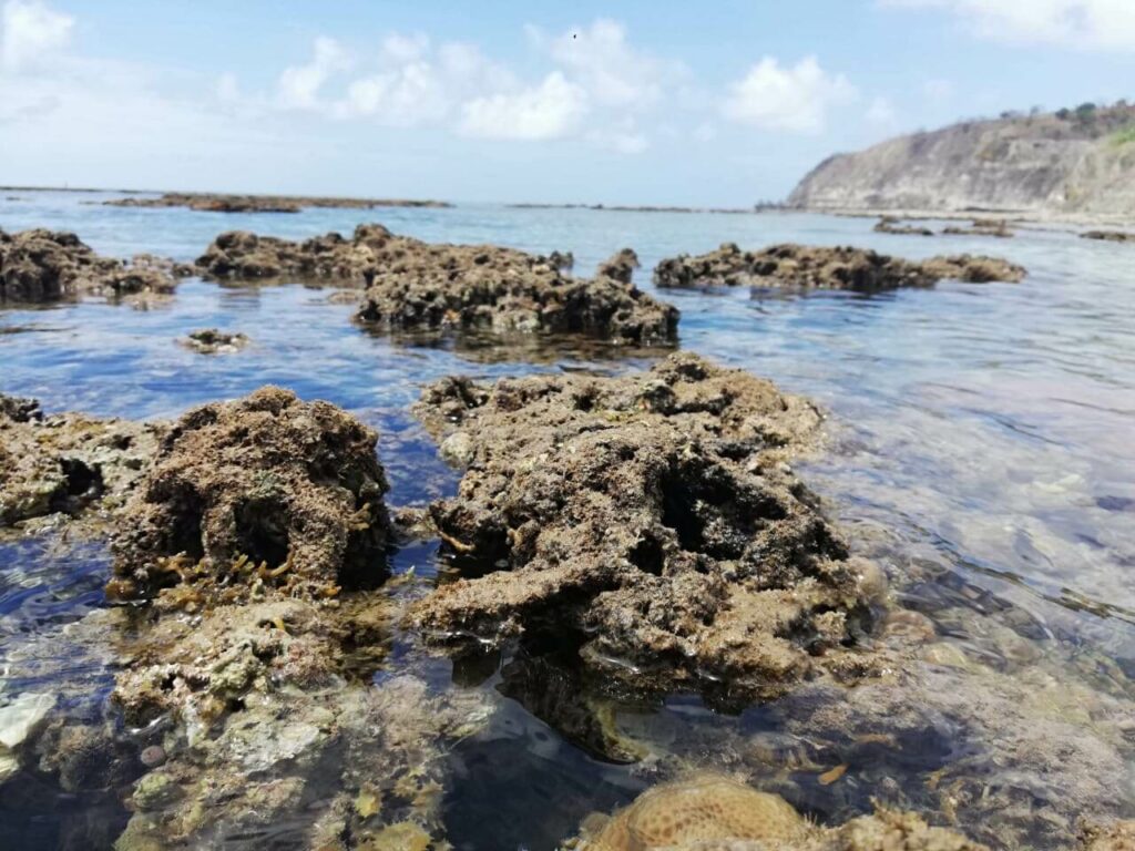 Visiter Petite-Terre Mayotte