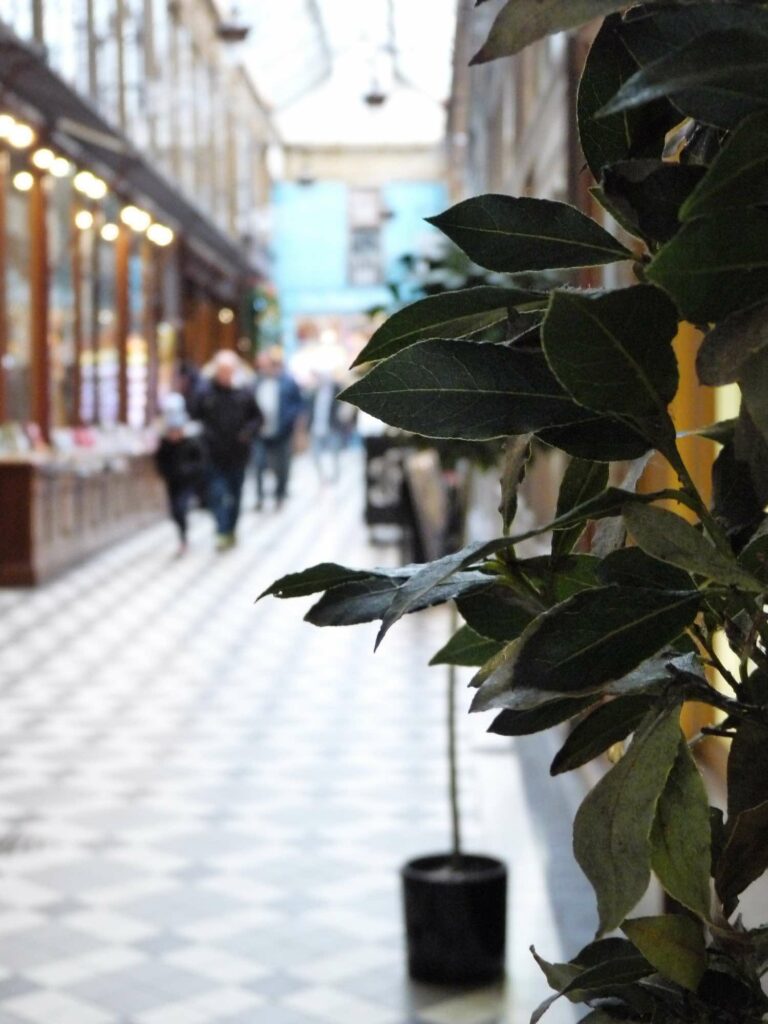 Passage Jouffroy Paris