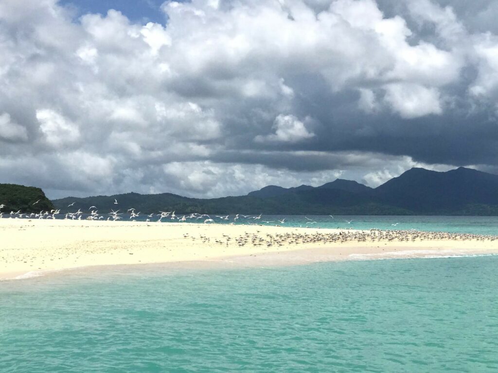 Sortie bateau Mayotte