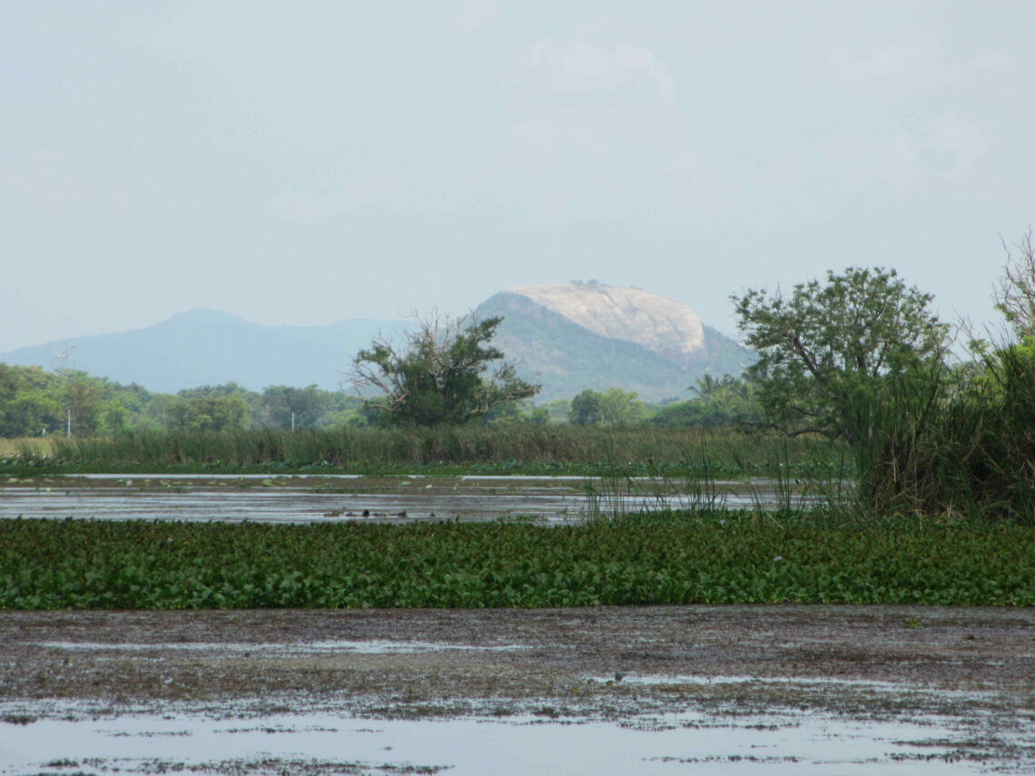 10 jours au Sri Lanka