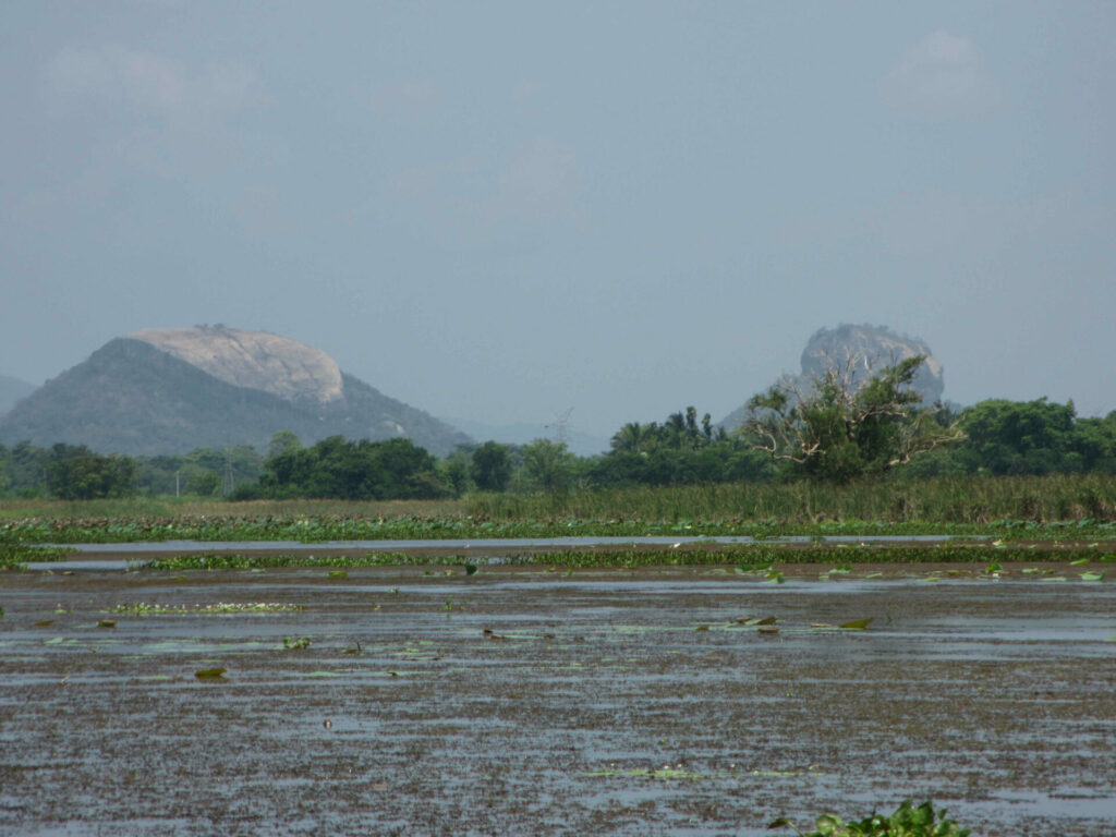 Réserve Sri Lanka