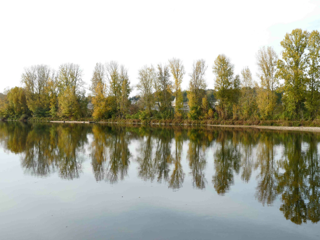 Quais de la Loire