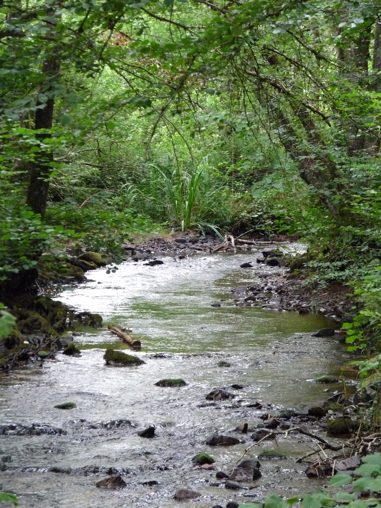 Visiter le Morvan