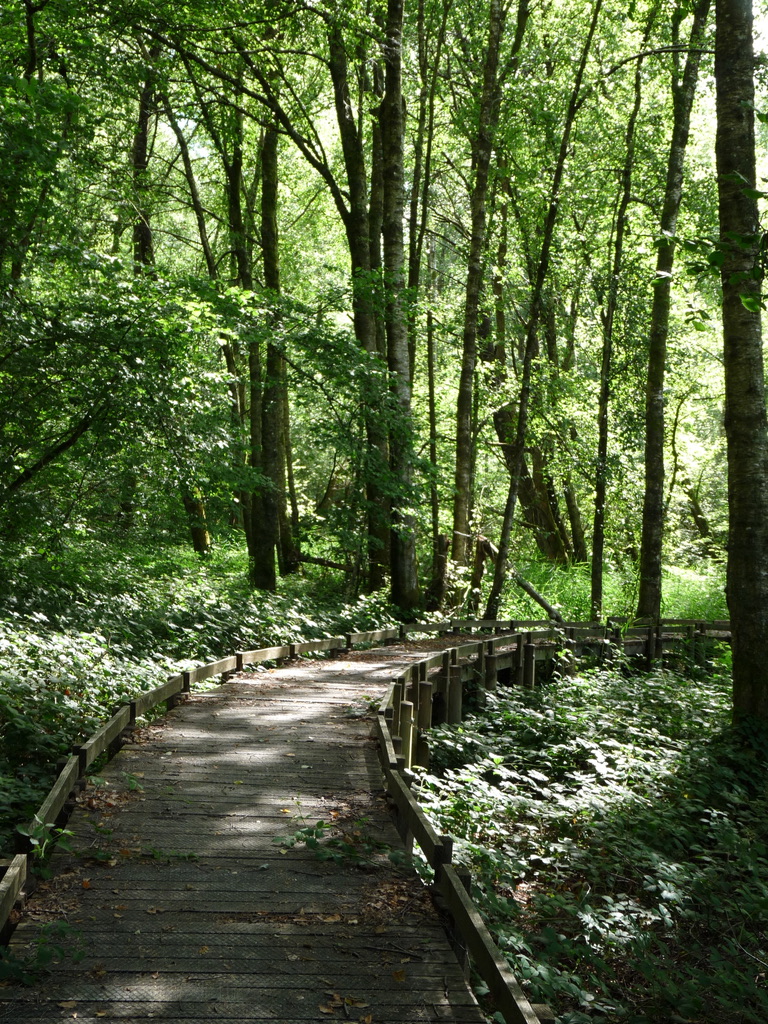 Balade dans le Morvan