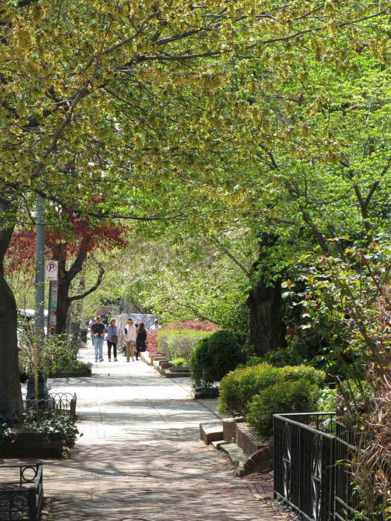 Dupont Circle Washington