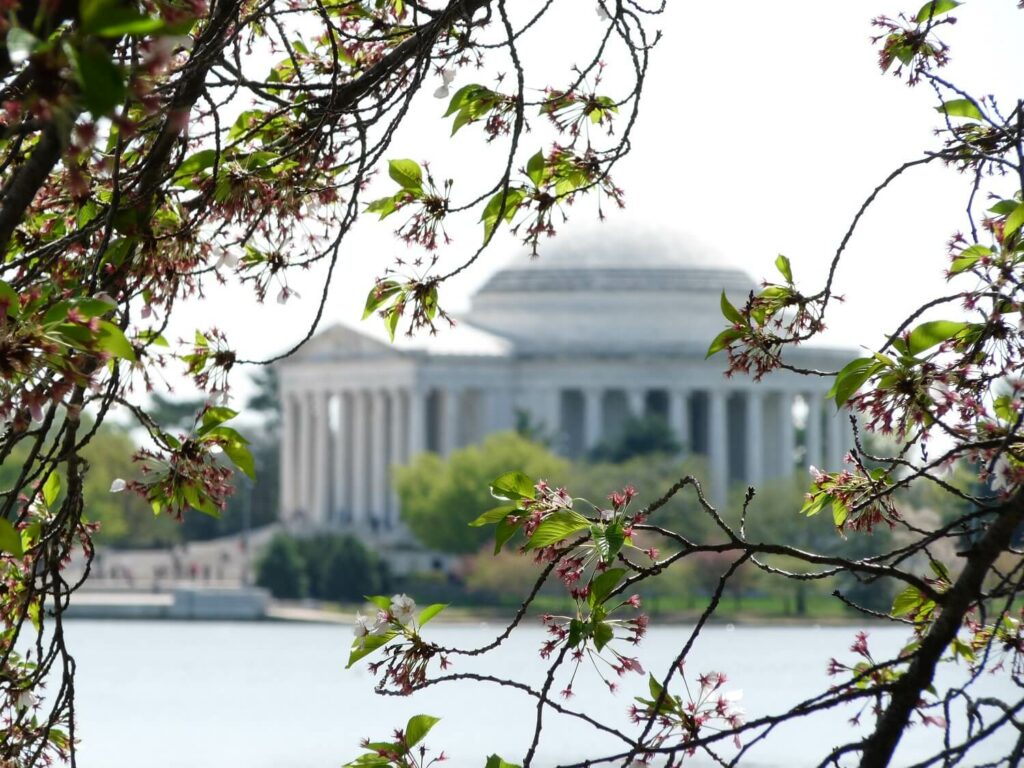 Memorial Jefferson Washington